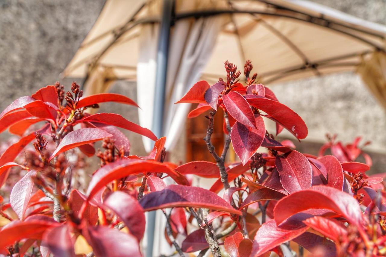 Appartamento Casa da Pietro Poggio Alla Croce Esterno foto